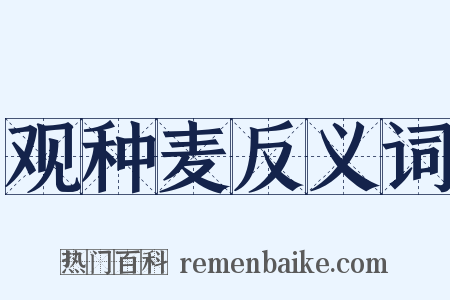 观种麦反义词是什么意思的图片